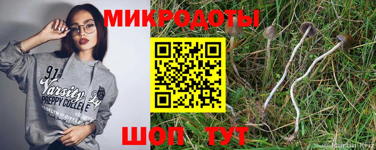 Псилоцибиновые грибы Psilocybine cubensis  Псилоцибиновые грибы ЛСД  Ставрополь  Вход с VPN 